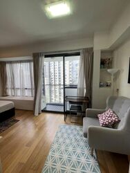Skysuites@Anson (D2), Apartment #461042821